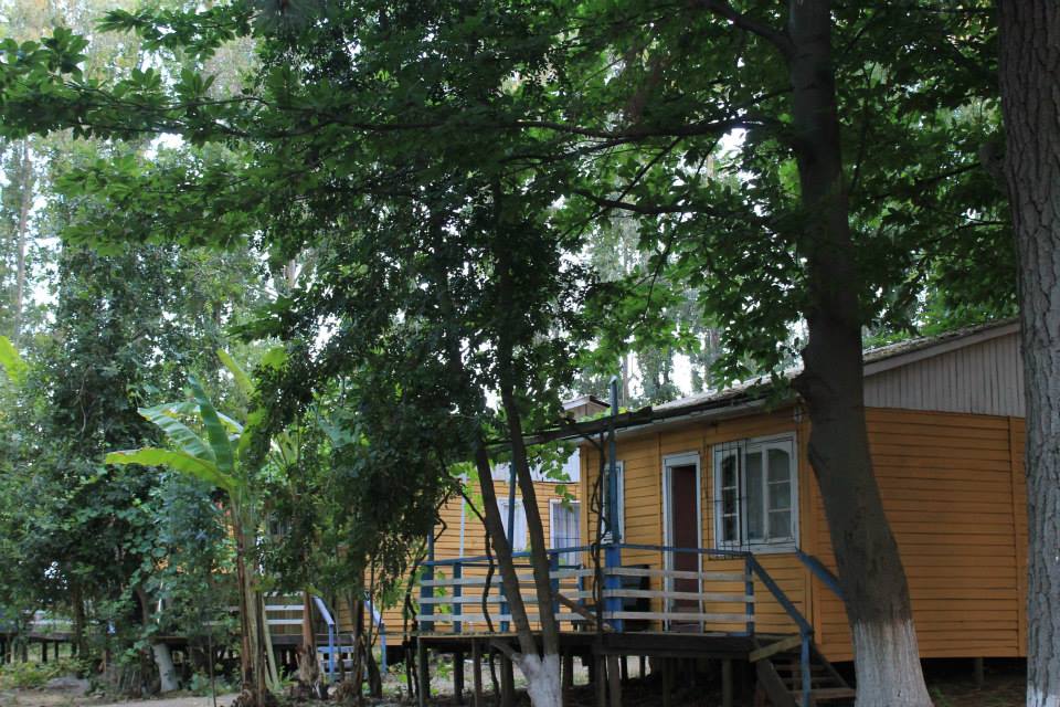 Cabaña 1
